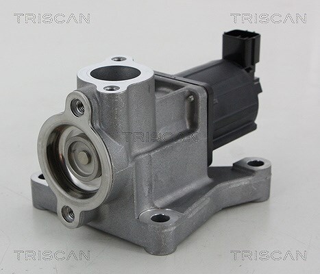 Triscan agr ventil - triscan, agr-ventil